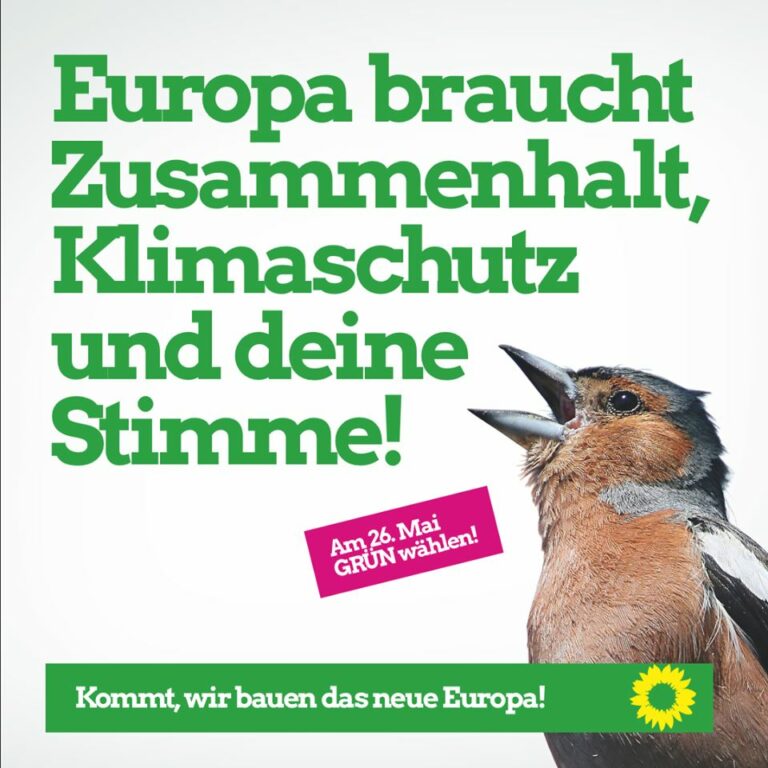 Zur Europawahl!