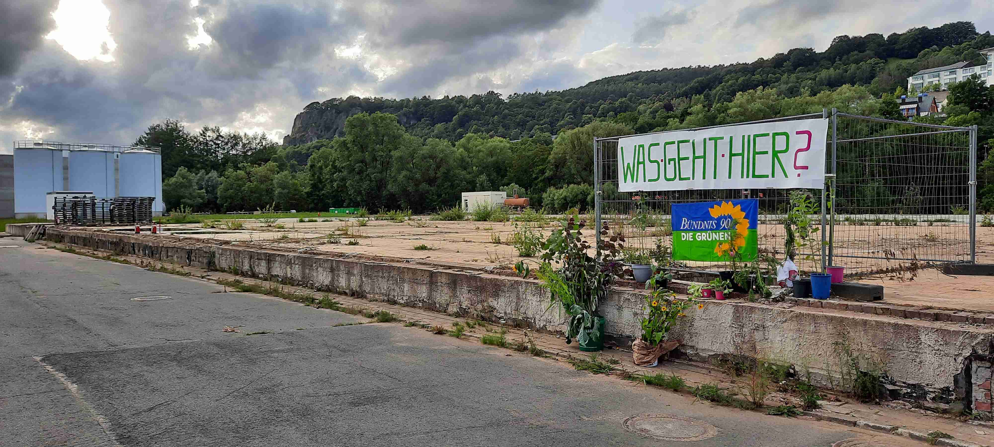 Symbolische Pflanzaktion auf dem ehemaligem Brunnengelände - Was geht hier?