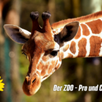 Der Zoo - Pro und Contra