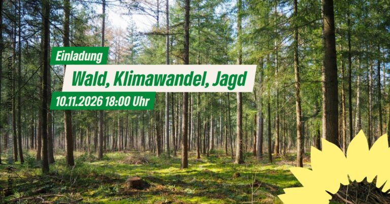 Wald, Klimawandel und Jagd: Zusammenhänge beleuchtet